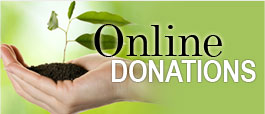 Online Donations